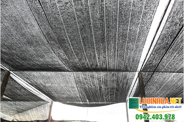 Nên mua lưới che nắng ở đâu giá tốt
