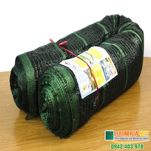 Tìm hiểu về lưới lan Thái Lan