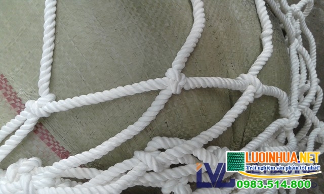 Ứng dụng của lưới an toàn sợi dù