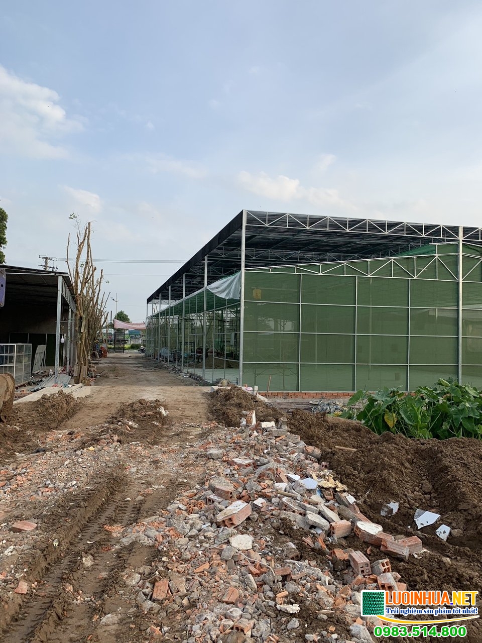 Không nên mua lưới chắn côn trùng kém chất lượng