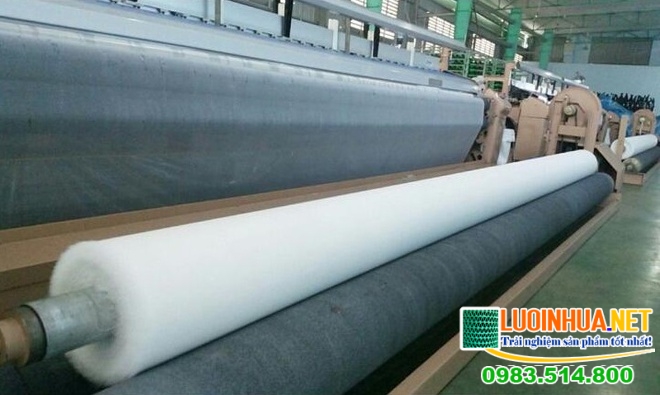 Vấn đề giá lưới chống côn trùng 2019